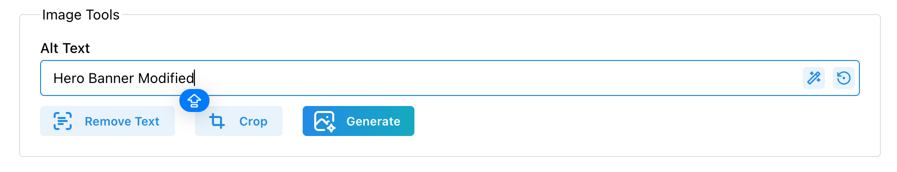 Alt text field showing editable text with generate and revert options