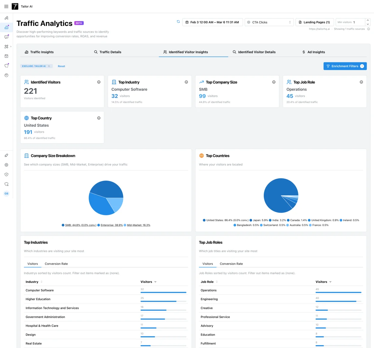 Tailor visitor enrichment showing company industries, job roles, regions, and top companies visiting your site